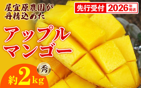 【先行受付】【2026年発送】屋宜原農園が丹精込めた「アップルマンゴー」秀約2kg - 先行予約 沖縄県産 産地直送 南国フルーツ 旬の味覚 旬のフルーツ 贈り物 ギフト 沖縄県 八重瀬町