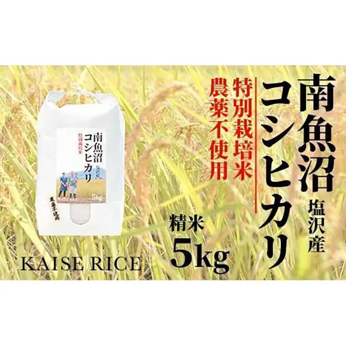 【令和7年産】南魚沼産塩沢コシヒカリ【従来品種】（農薬不使用）精米５ｋｇ