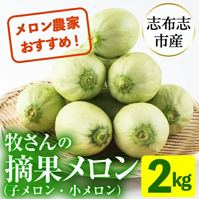 【期間限定・数量限定】鹿児島県志布志産 摘果メロン(子メロン・小メロン) 2kg a0-330