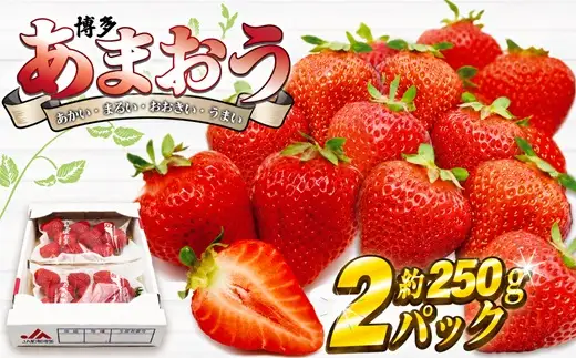 【2027年3月下旬より順次発送】博多あまおう2パック 約500g[H2211]