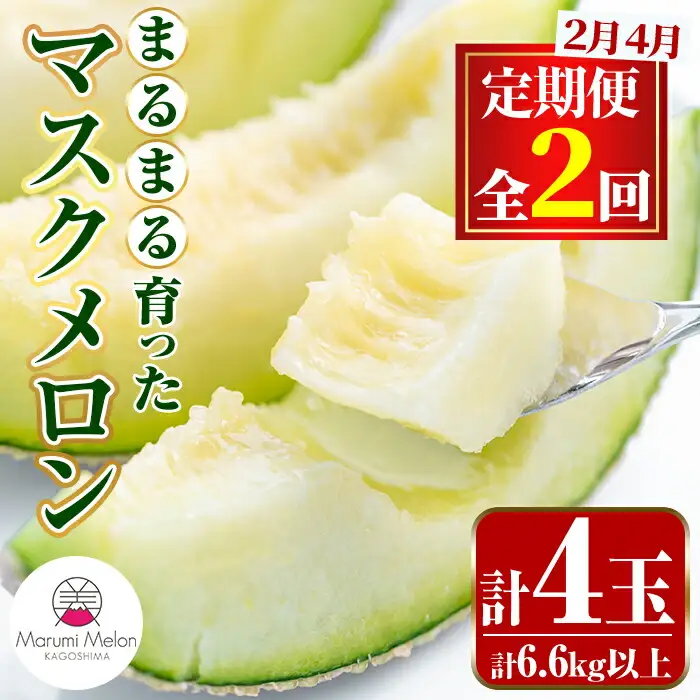 【0472212b】＜定期便・全2回(2月・4月)＞まるまる育ったマスクメロン(2玉×2回・計6.6kg以上) マスクメロン フルーツ 果物 果実 6キロ 数量限定 期間限定【まる美園芸組合】