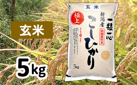 48-7G051【玄米】新潟県長岡産特別栽培米コシヒカリ5kg