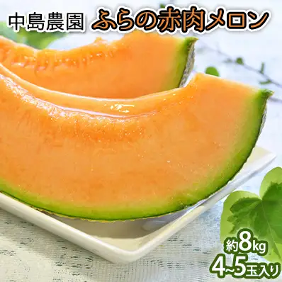 【2026年7月～発送】北海道 富良野市 ふらの赤肉 メロン 4～5玉入り 計 約8kg (中島農園) メロン フルーツ 果物 新鮮 甘い 贈り物 ギフト 道産 ジューシー おやつ ふらの ブランド 夏 