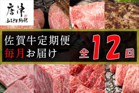 【定期便全12回】佐賀牛定期便「サーロイン(2回)・ローストビーフ(3回)・肩ロース・ハンバーグ(2回)・ロースブロック・カルビ(ロース)・カルビ(モモ)・しゃぶしゃぶ(ウデ)」 毎月発送いたします!