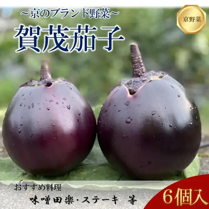 【先行予約特典付き・2026年7月発送】賀茂茄子（京野菜）  6個 約1.5kg｜京野菜 野菜