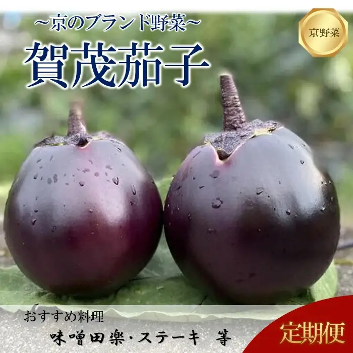 ＜3回定期便2026年7～9月発送＞【先行予約特典付き】賀茂茄子（京野菜）6個 約1.5kg×3回 ｜ 野菜