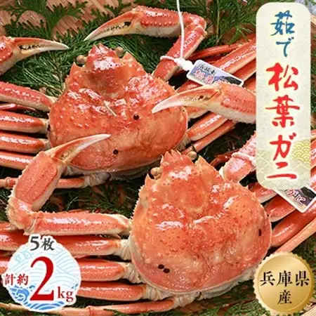 松葉ガニの本場より プロ茹で松葉ガニ(冷凍)　約400g×5枚【配送不可地域：離島】【1264431】