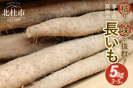 茅ヶ岳高原　粘りと味が抜群の長芋　５㎏箱 長いも 約3～5本 ながいも 山芋 野菜 とろろ 磯辺揚げ 粘り 期間限定 明野町 茅ヶ岳高原 山梨県 北杜市 [h155]
