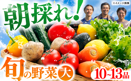 【最速発送】土佐の太陽をいっぱいに浴びた旬の野菜セット「大」【土佐野菜】 [ATBA002]　スピード 最短 最速 発送 春 春野菜 旬野菜 野菜詰め合わせ
