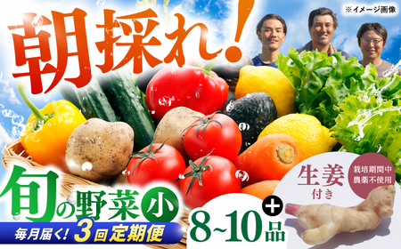 【3回定期便】 土佐の太陽をいっぱいに浴びた旬の野菜生姜約100gのセット「小」 【土佐野菜】 [ATBA011]