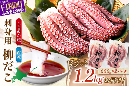 しらぬか産刺身用柳だこ【600g×2個】_I016-0136