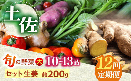 【12回定期便】土佐の太陽をいっぱいに浴びた旬の野菜生姜約100gのセット「大」 (12回配送)【土佐野菜】 [ATBA016]
