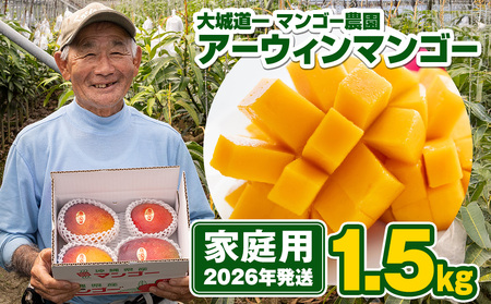 【2026年発送】大城道一マンゴー農園のアーウィンマンゴー1.5kg（家庭用）