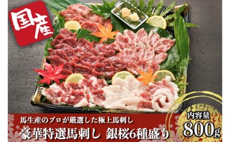 【国産】豪華特選馬刺し 銀桜 6種盛り 馬刺し 800g 霜降り 上赤身 オビ ヒモ タテガミ フタエゴ 専用醤油 馬 馬肉 生食用 肉刺し 詰め合わせ 盛り合せ ギフト 贈答用 お中元 お歳暮 熊本 JSファーム 阿蘇 南小国 南小国町 送料無料