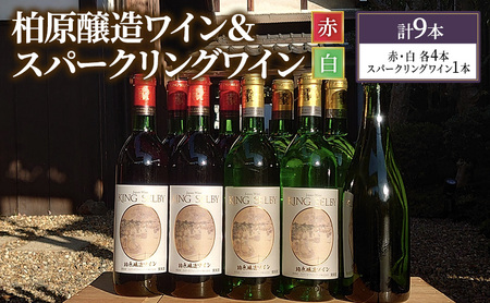 ワイン 柏原醸造ワイン 赤 白 辛口 ＆人気の スパークリングワイン 合計 9本 セット お楽しみ 詰め合わせ スパークリング 酒 お酒 赤ワイン 白ワイン 国産 アルコール 