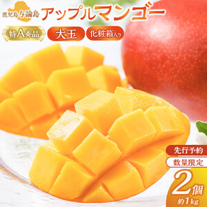 【数量限定】鹿児島 与論島アップルマンゴー特A秀品大玉２個約１キロ 化粧箱入り【先行予約】| マンゴー