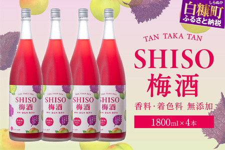 鍛高譚（たんたかたん）の梅酒[1800ml]【4本セット】_I028-0040