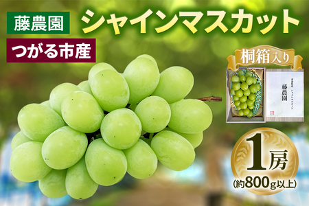 シャインマスカット 1房 桐箱入り (約800g)糖度18度以上 [0627]