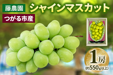 シャインマスカット 1房 (約550g以上)糖度18度以上 [0964]