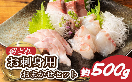 お刺身 2～3種 約500ｇ 鮮魚 おまかせ 鮮魚