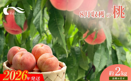 No.1758もも　8月収穫の桃　品種お任せ　約2kg【2026年発送】