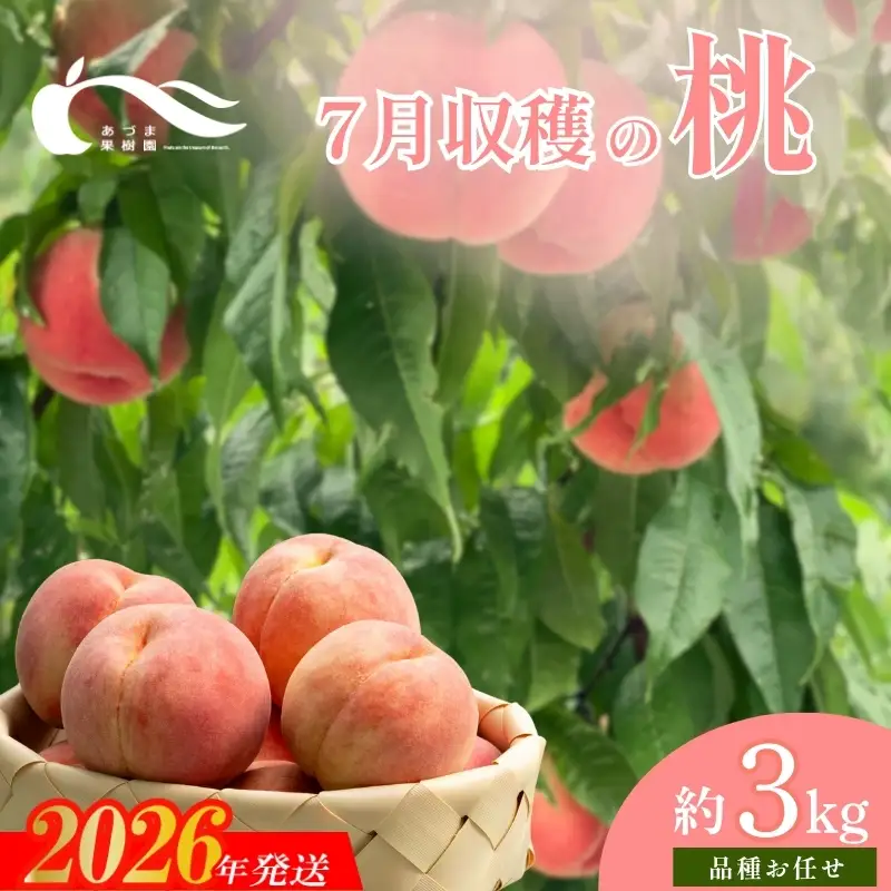 No.1759もも　7月収穫の桃　品種お任せ　約3kg【2026年発送】