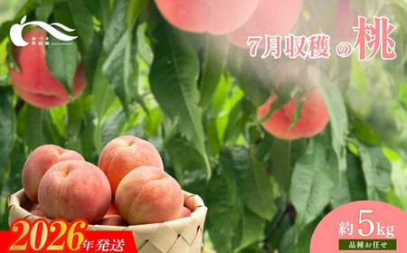 No.1761もも　7月収穫の桃　品種お任せ　約5kg【2026年発送】