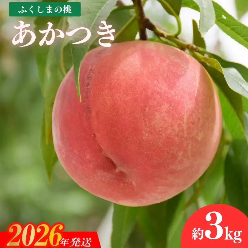 No.1818もも「あかつき」約3kg【2026年発送】