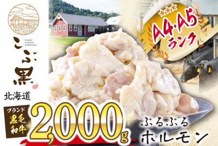 北海道産 黒毛和牛 こぶ黒 A5 A4 ぷるぷる 和牛 ホルモン 計 2kg (500g×4パック)