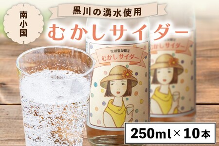 黒川温泉の湧水を使用 むかしサイダー 10本セット 250ml 10本 湧水 黒川温泉 サイダー 地サイダー ご当地 瓶 レトロ 飲料 ジュース セット ギフト 贈答用 お中元 後藤酒店 熊本 南小国町 送料無料