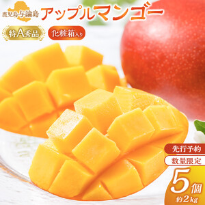 【数量限定】鹿児島 与論島アップルマンゴー特A秀品５個約2kg 化粧箱入り【先行予約】| マンゴー