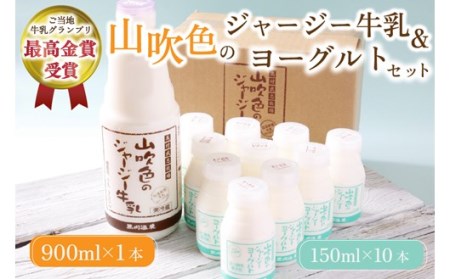 山吹色のジャージー牛乳・ヨーグルトセット 黒川温泉 山吹色のジャージー牛乳 飲むヨーグルト 2種 11本 ジャージー牛乳 900ml のむヨーグルト 150ml 詰め合わせ アソート セット 乳製品 飲料 健康 腸活 免疫力アップ 乳酸菌 ご当地牛乳グランプリ ご当地 ギフト 贈答用 山のいぶき 熊本 阿蘇 南小国町 送料無料