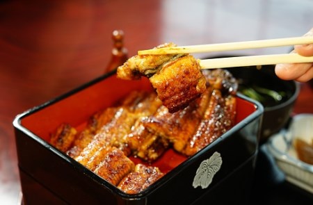 三河一色産　うなぎ手焼き【蒲焼パック2尾(1尾150g～180g)】・U033-25