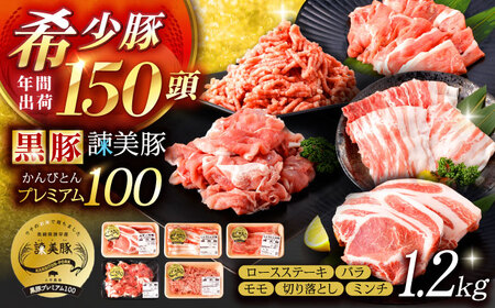 【お中元対応可】黒豚諫美豚プレミアム100 5種詰め合わせ 1.2kg / 豚肉 ぶたにく ロースステーキ しゃぶしゃぶ 切り落とし ミンチ / 諫早市 / 株式会社土井農場 [AHAD047]