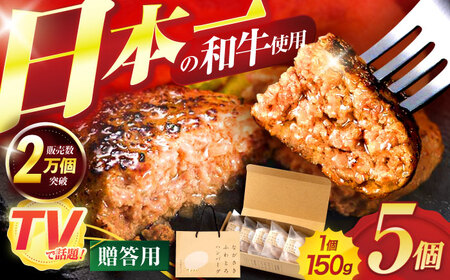 ながさきふわとろハンバーグ 150g×5個入 【贈答用】 / ハンバーグ はんばーぐ 牛肉 豚肉 長崎和牛 / 諫早市 / ワールド・ミート有限会社 [AHBG001]