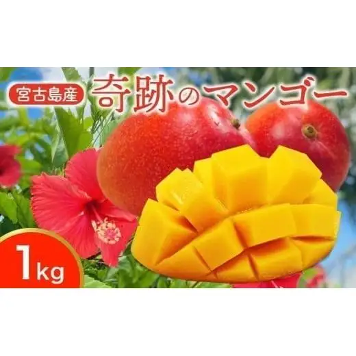 CZ010《先行予約2026年発送》【宮縁果樹園】宮古島産　奇跡のマンゴー　1kg　お手頃