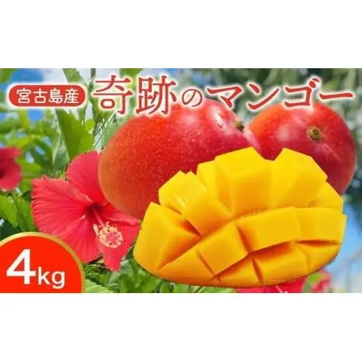 CZ013《先行予約2026年発送》【宮縁果樹園】宮古島産　奇跡のマンゴー　4kg　優品