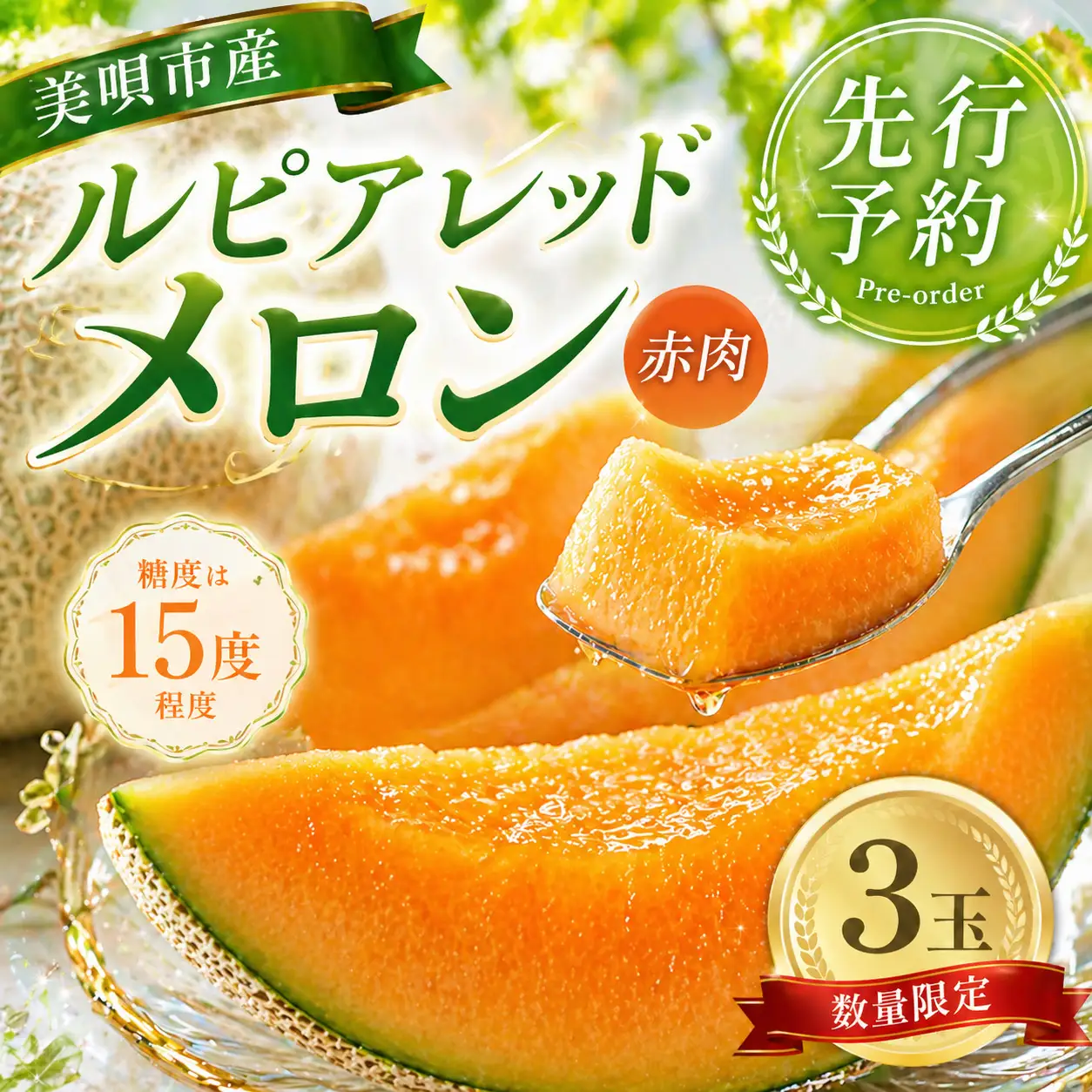 【2026年発送】【先行予約】【数量限定】美唄市産ルピアレッドメロン３玉（赤肉） ｜ メロン