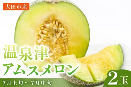 【春作】温泉津アムスメロン×２玉（配達指定日不可）【アムスメロン メロン 2玉 青肉 期間限定 季節限定 果物 フルーツ くだもの 贅沢 ご褒美 デザート 先行予約】