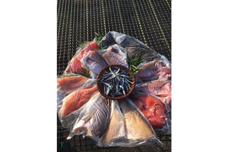 海の幸 セット1 海産物 海産物