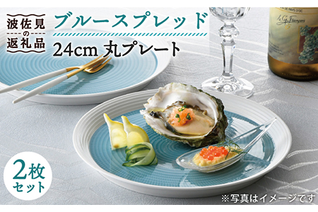 【波佐見焼】ブルースプレッド 24cm 丸皿 プレート 2枚セット 食器 皿 【一真窯】 [BB46]  波佐見焼