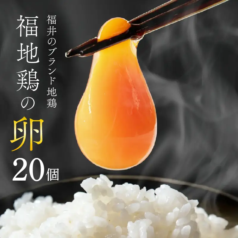 濃厚で甘くておいしい！ 福井ブランド「福地鶏」の卵 20個 ／ 卵 たまご 鶏卵 生卵 有精卵 高級 高級卵 福地鶏 鶏 平飼い 美味しい こだわり 卵かけご飯 料理 あわら市 福井県産 [aw036-a003]