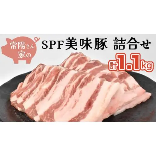常陽さん家の SPF 美味豚 詰合せ 計 1.1kg 食べ比べ セット