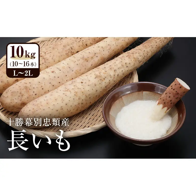 2026年12月発送 先行予約 十勝「忠類長いも」10kg (10～16本) L～2L［JA忠類］【 長芋 ながいも 山芋 芋 とろろ 野菜 根菜 産地直送 贈答 ギフト北海道 幕別 】