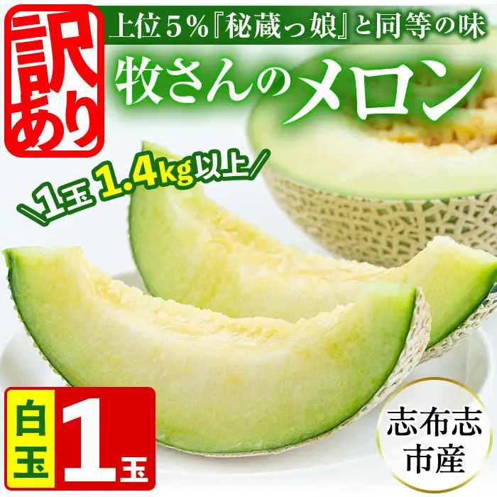 【訳あり・数量限定】牧さんの訳ありメロン 白玉(青肉)1玉 メロン マスクメロン 果物 くだもの デザート 青肉 訳あり a1-058