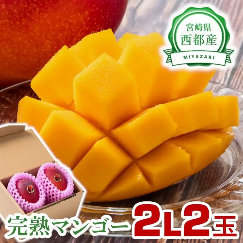 【先行予約】2026年発送 西都市産完熟マンゴー 2L×2玉 糖度12度以上＜26-11a＞宮崎完熟マンゴー 果物 フルーツ 甘い