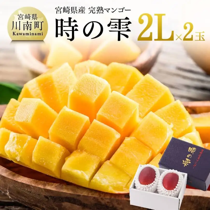 【令和8年発送】宮崎県産完熟マンゴー「時の雫」2L×2玉 フルーツ マンゴー