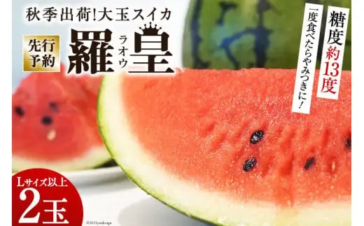 CF164【令和8年度出荷分】秋季出荷！大玉スイカ～羅皇（ラオウ）～（Lサイズ6kg以上×2玉入）[長崎県 島原市]