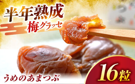 福井県産 うめのあまつぶ（梅グラッセ）16粒入 国産 洋菓子 ギフト [A-024002] [BFAU004]