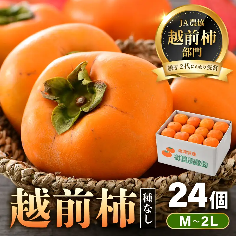 【先行予約】 越前柿 24個入 約4kg（M～2L）≪JA受賞歴親子２代≫ ／ 果物 フルーツ 柿 産地直送 期間限定 あわら ※2026年11月上旬より順次発送 [aw061-a001]